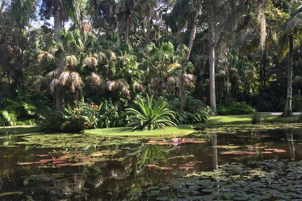 Botanische Tuin - Vero Beach - Florida - Doets Reizen
