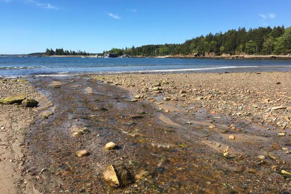 Acadia National Park - Maine - Amerika - Doets Reizen