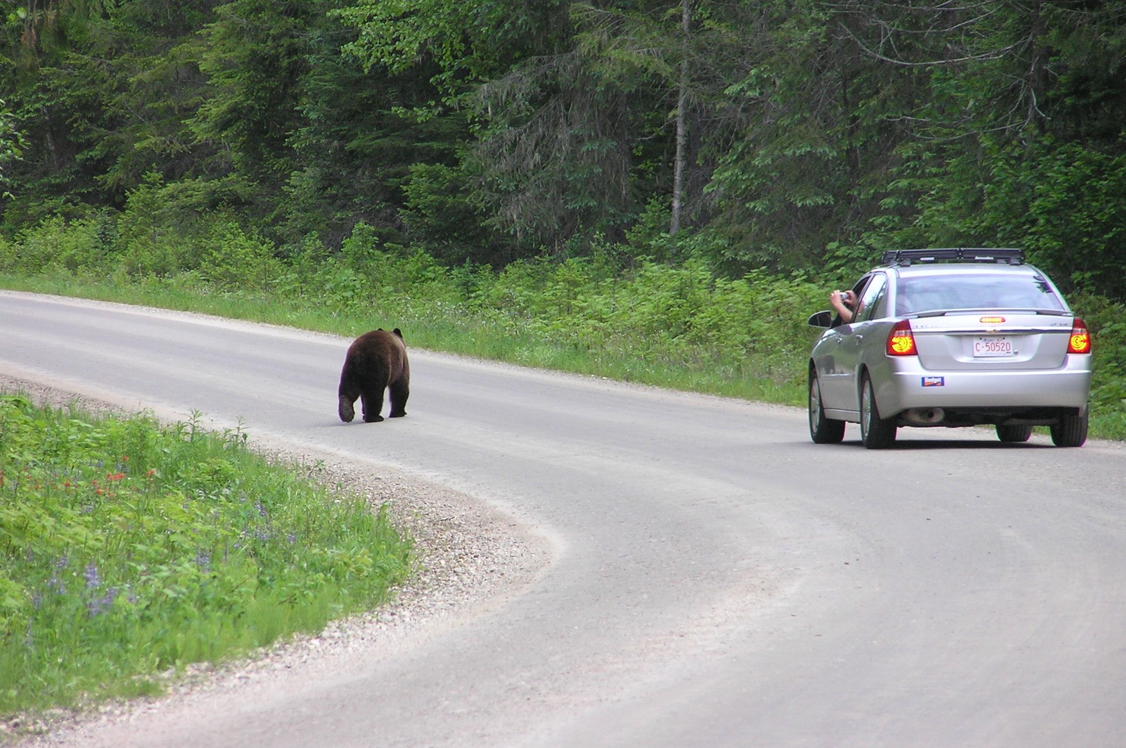 Wells Gray Provincial Park - British Columbia - Canada - Doets Reizen