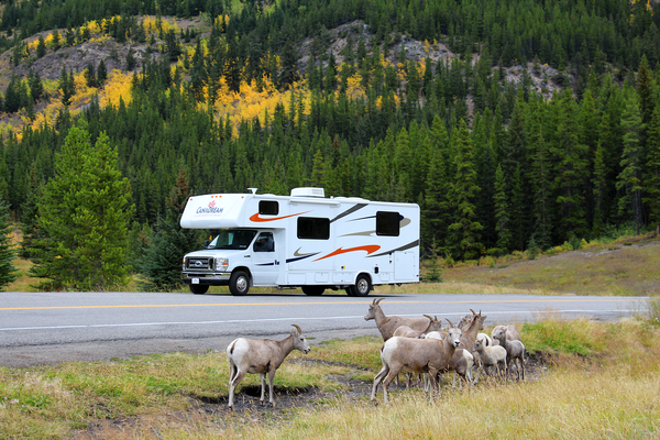 CanaDream - Canadese Rockies - Camper huren Canada - Doets Reizen