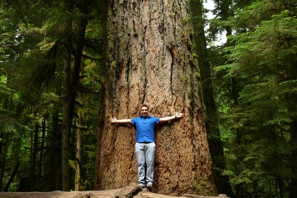 McMIllan Provinciale Park - Cathedral Grove -Vancouver Island - British Columbia - Canada - Doets Reizen