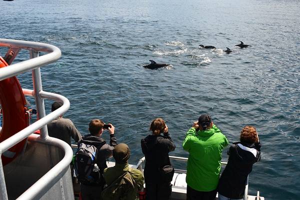 Telegraph Cove - Vancouver Island - British Columbia - Canada - Doets Reizen