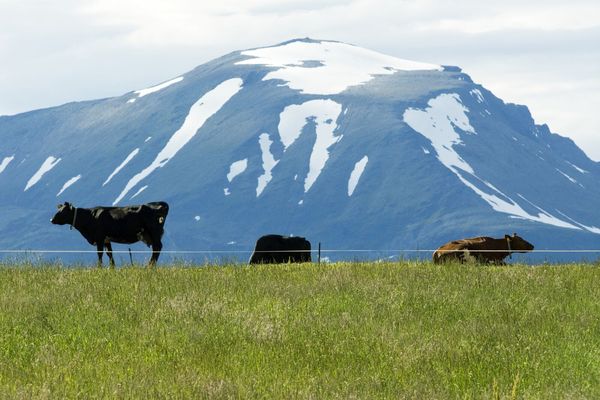 Troms og Finnmark - Doets Reizen - Vakantie Noorwegen - Credits Visitnorway.com