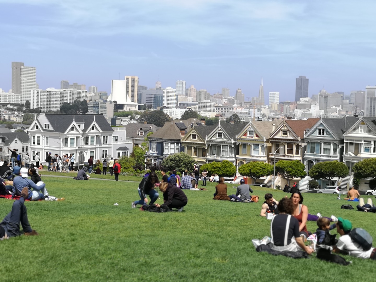 Alamo Square Park - San Francisco - California - Amerika - Doets Reizen