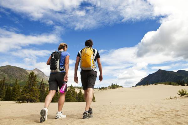 Carcross Desert - Yukon - Canada - Doets Reizen