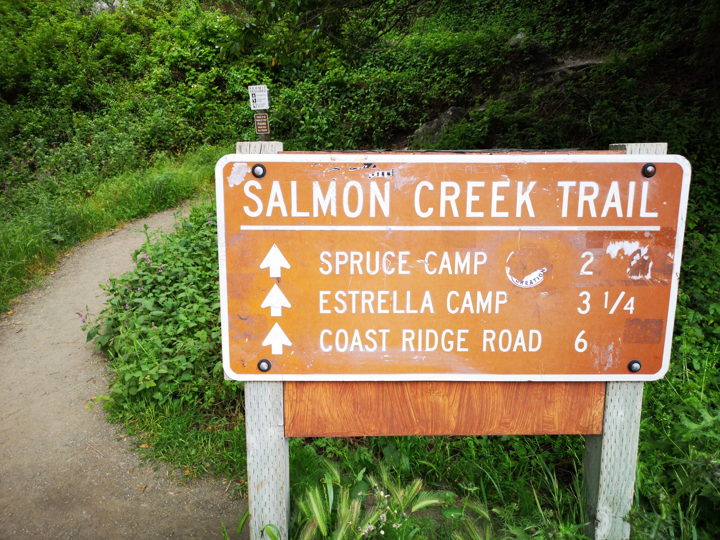Salmon Creek Trail - Big Sur - Highway 1 - California - Amerika - Doets Reizen
