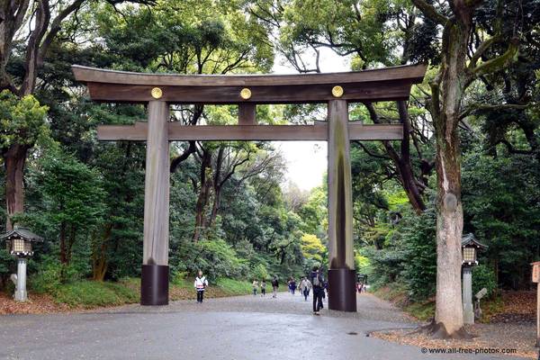 Meiji Shrine - Tokyo - Japan - Doets Reizen