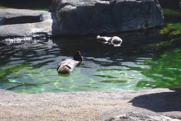 Newport - Oregon - Doets Reizen