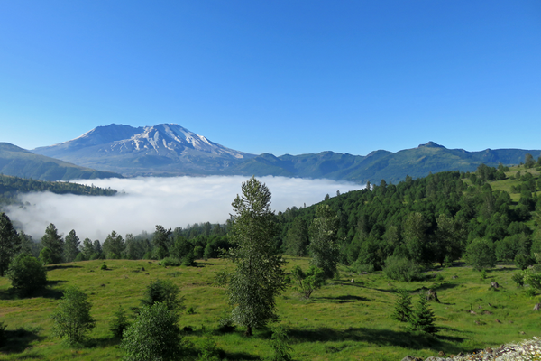 Mount St. Helens National Volcanic Monument - Washington State - Doets Reizen