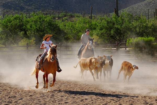 Tucson - Arizona - Doets Reizen