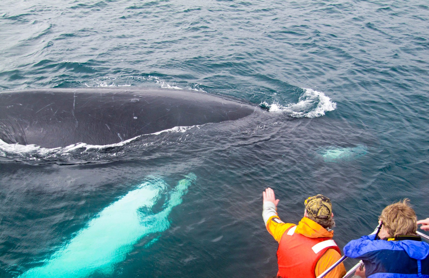 Twillingate - Newfoundland & Labrador - Canada - Doets Reizen