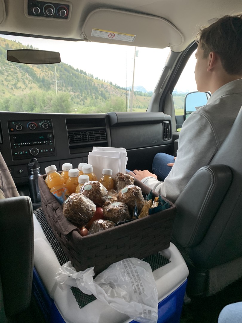 Wildlife Safari - Grand Teton National Park - Wyoming - Doets Reizen