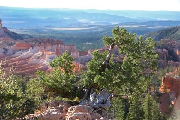 Bryce Canyon National Park - Utah - Doets Reizen