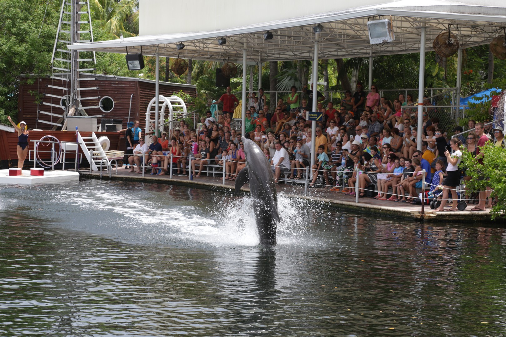 Theater of the Sea - Islamorada - The Keys - Florida - Doets Reizen