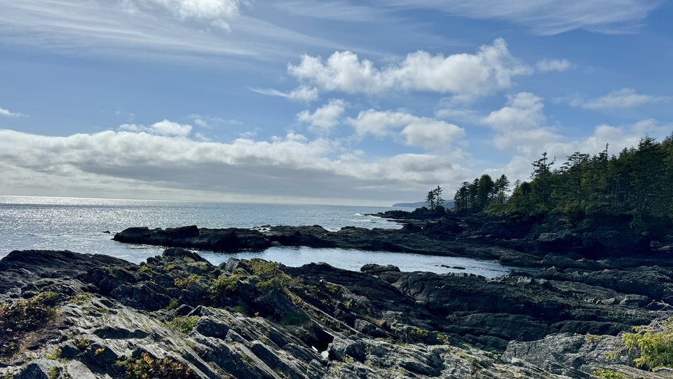 Port Renfrew - Botanical Beach - Canada- Vancouver Island - Doets Reizen