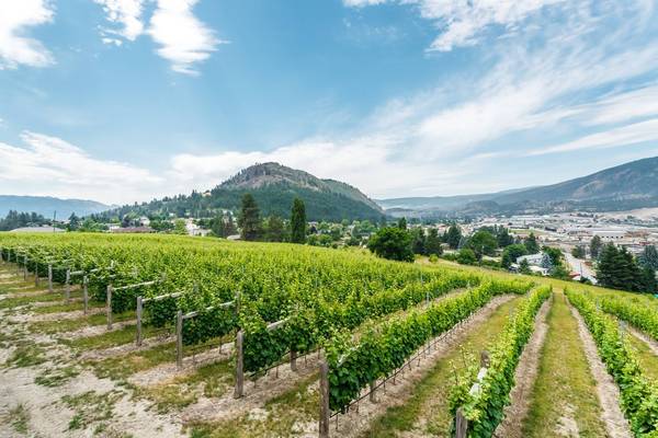 Grizzli Winery - Kelowna - Okanagan Valley - British Columbia - Canada - Doets Reizen