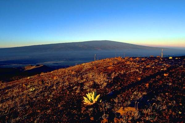 Hike the World Highest Mountain - Big Island - Hawaii - Doets Reizen