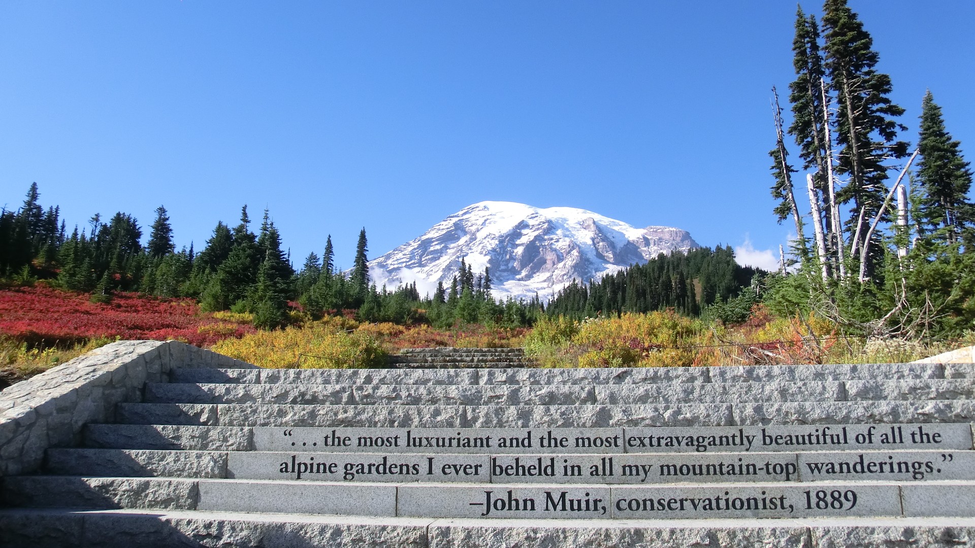 Mount Rainier National Park - Washington State - Doets Reizen