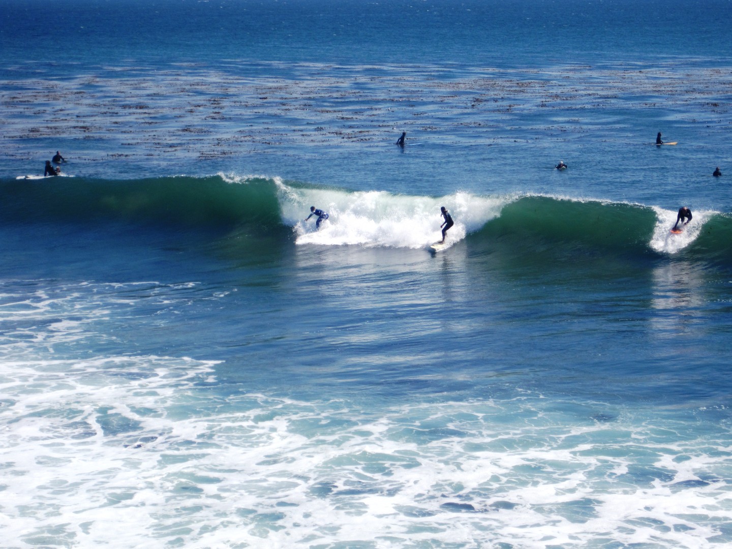 Santa Cruz - California - Doets Reizen