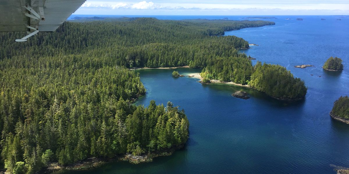 Pacific Rim National Park - Vancouver Island - British Columbia - Canada - Doets Reizen