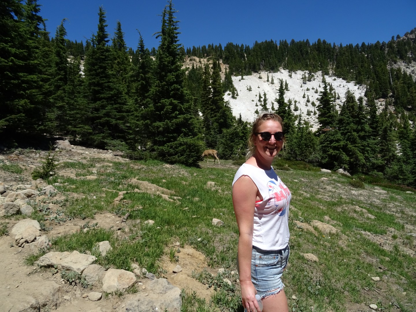 Lassen Volcanic National Park - California - Amerika - Doets Reizen