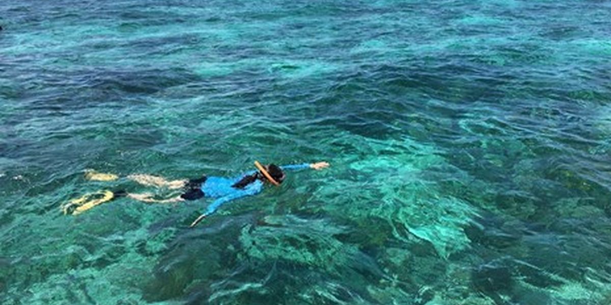 Biscayne National Park - Florida - Doets Reizen