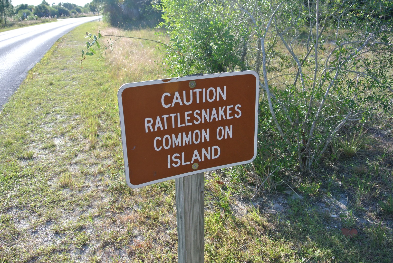 Honeymoon Island - Tampa - Florida - Doets Reizen