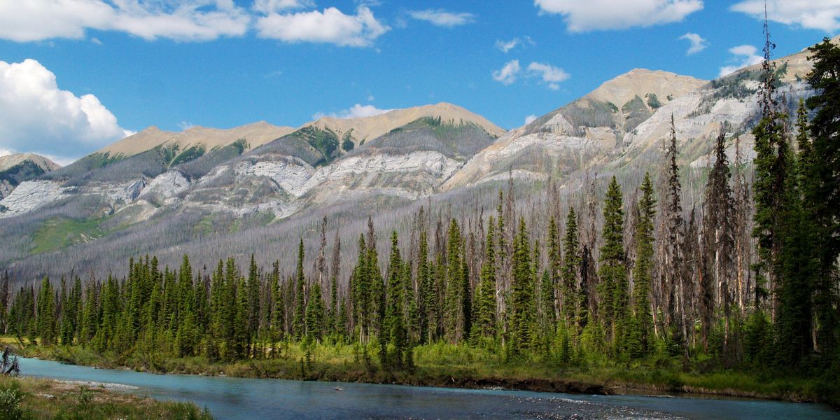 Kootenay National Park - British Columbia - Canada - Doets Reizen