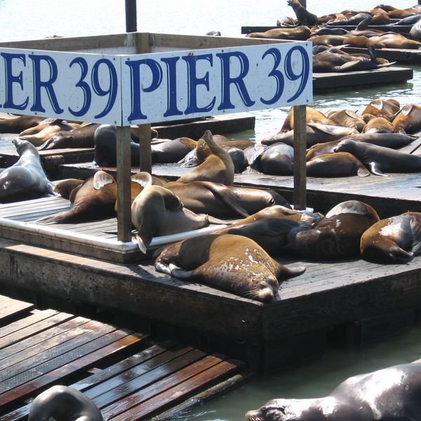 San Francisco - California - Amerika - Doets Reizen