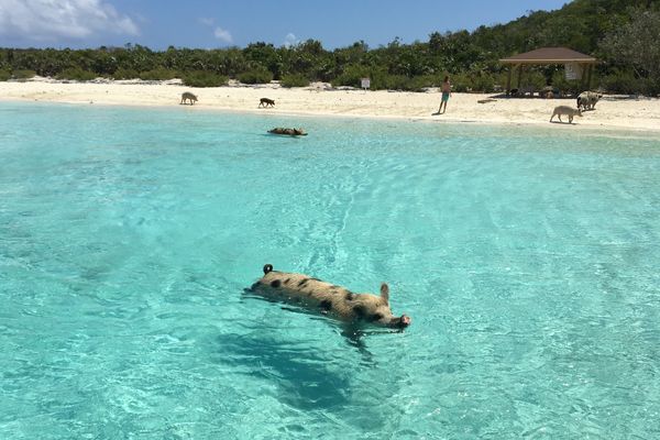 Great Exuma - Cruise Bahamas - Cruisevakantie - Doets Reizen