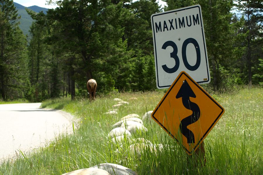 Jasper National Park - Alberta - Canada - Doets Reizen