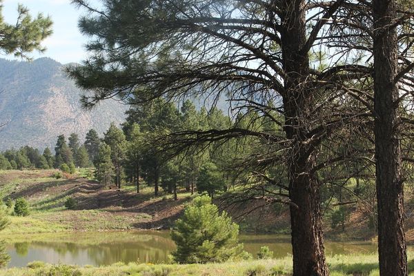 Flagstaff - Arizona -  Doets Reizen