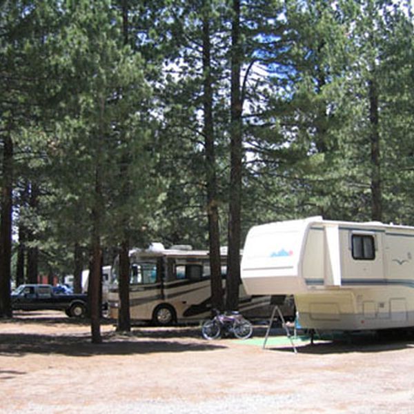 Mammoth Mountain RV Park - camping1