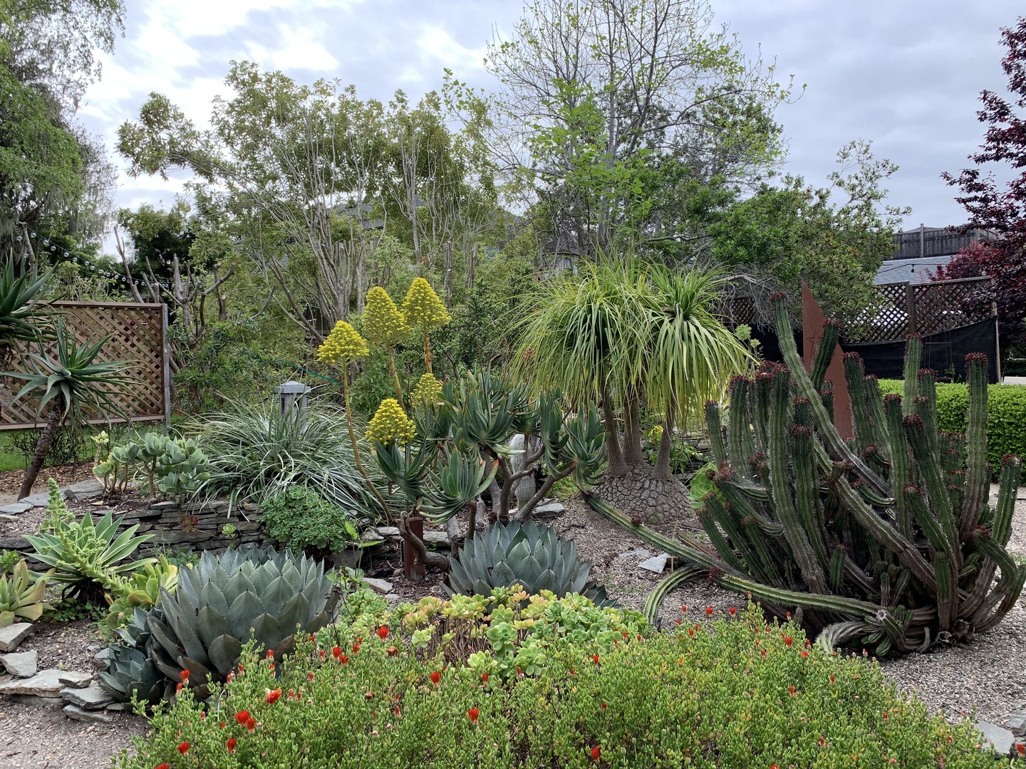 Cambria Pines Lodge - California - Amerika - Doets Reizen