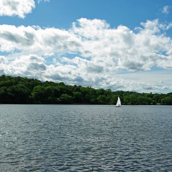 Bezoek Jamaica Pond Doets Reizen