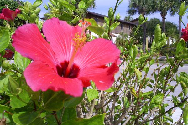 Vero Beach - Florida - Doets Reizen