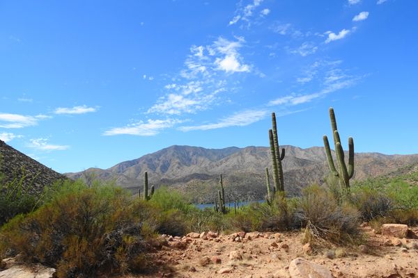 Apache Trail - Arizona - Doets Reizen