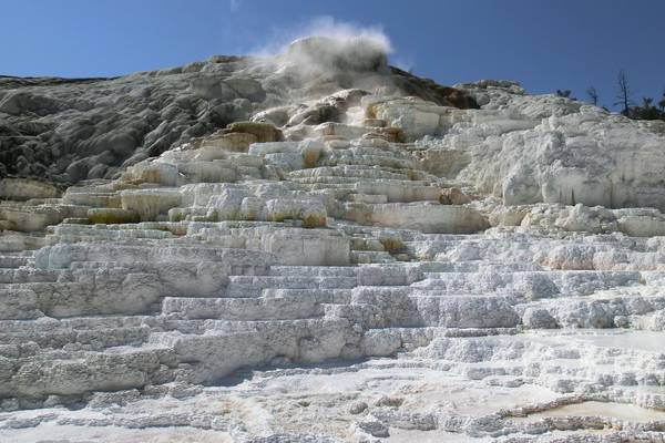 Yellowstone National Park - Wyoming - Doets Reizen