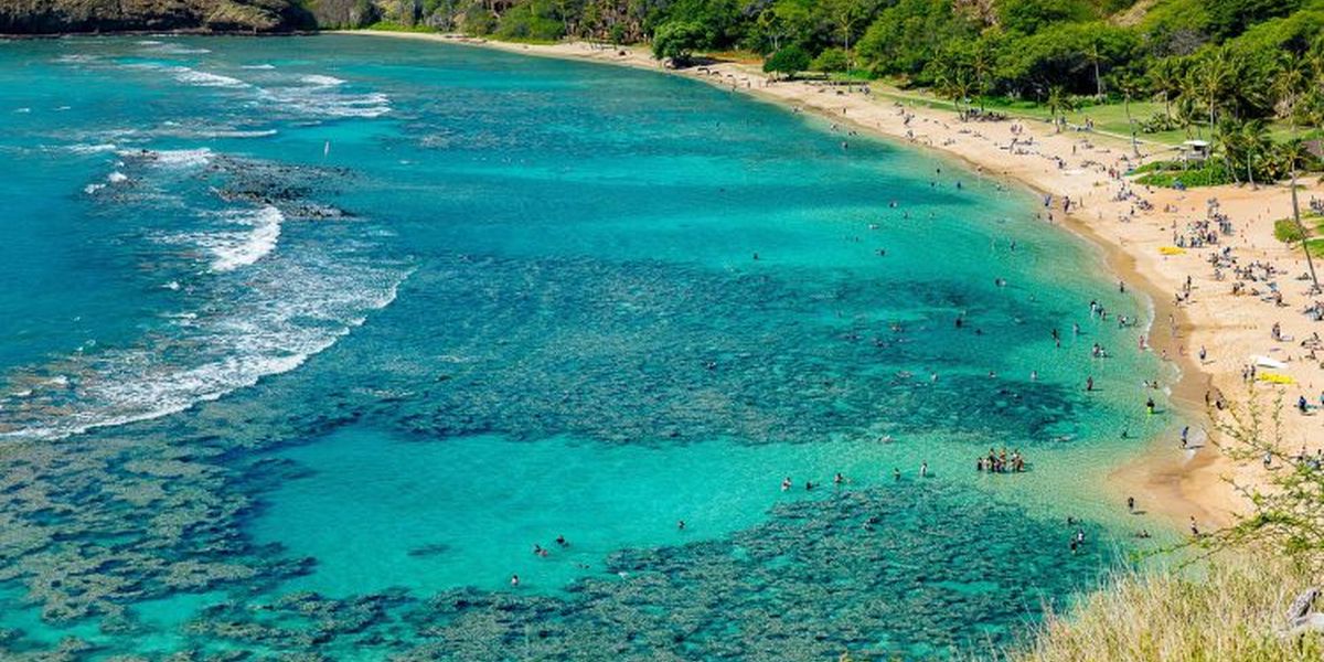 Hanauma Bay Nature Preserve - Oahu - Hawaii - Doets Reizen