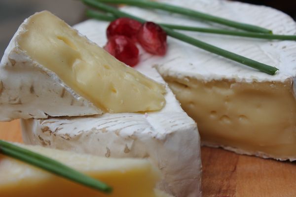 Camembert Normandy Doets Reizen - Afbeelding van Daniel Albany via Pixabay