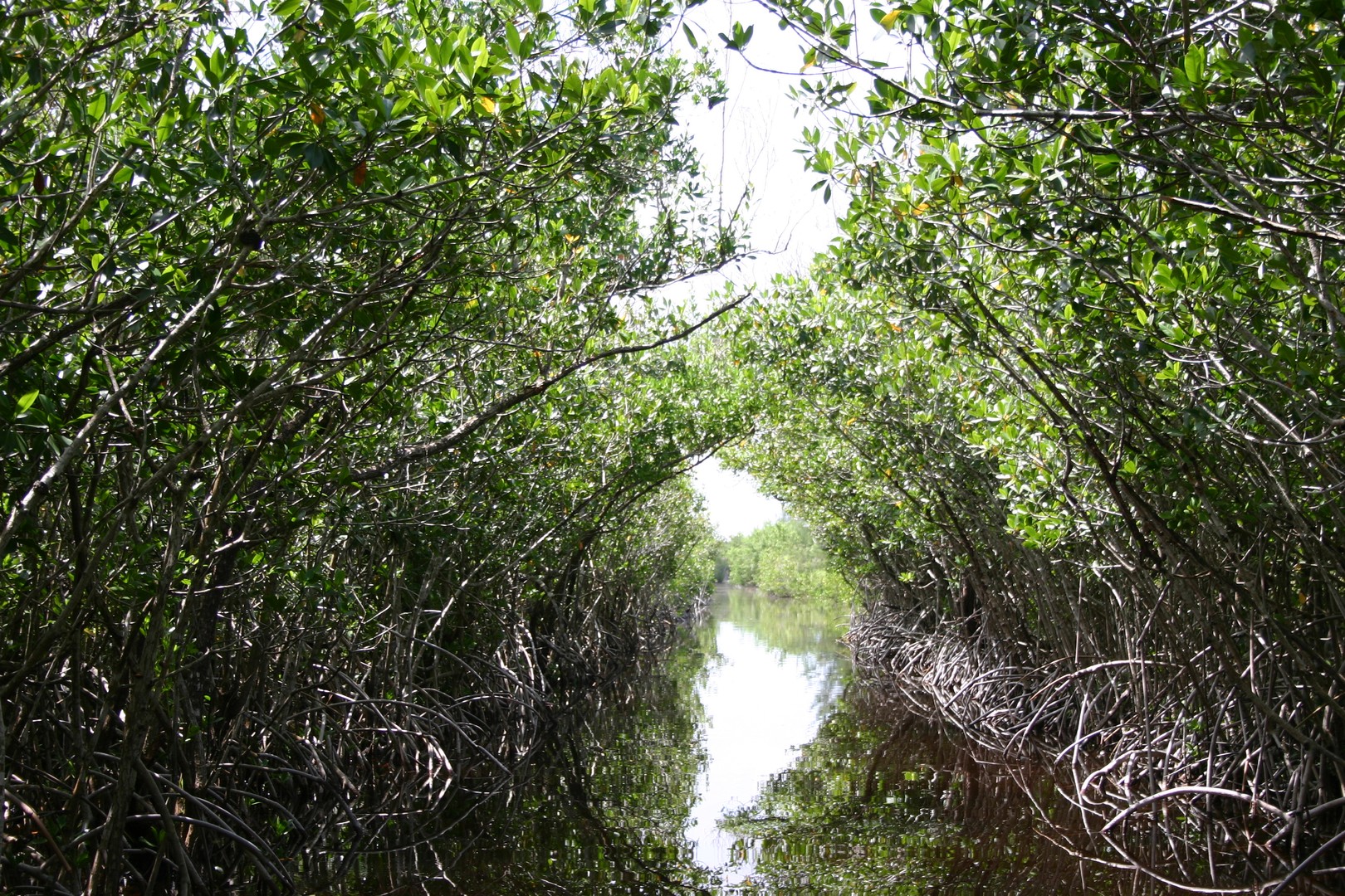 Everglades National Park - Florida - Doets Reizen