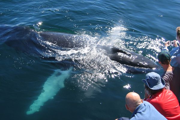 Boston - Massachusetts - Doets Reizen