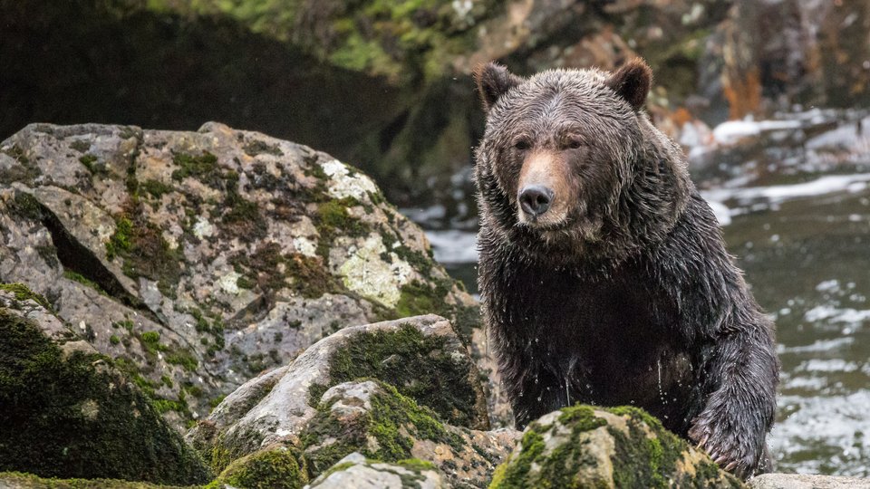 Seawolf Adventures - British Columbia - Canada - Doets Reizen
