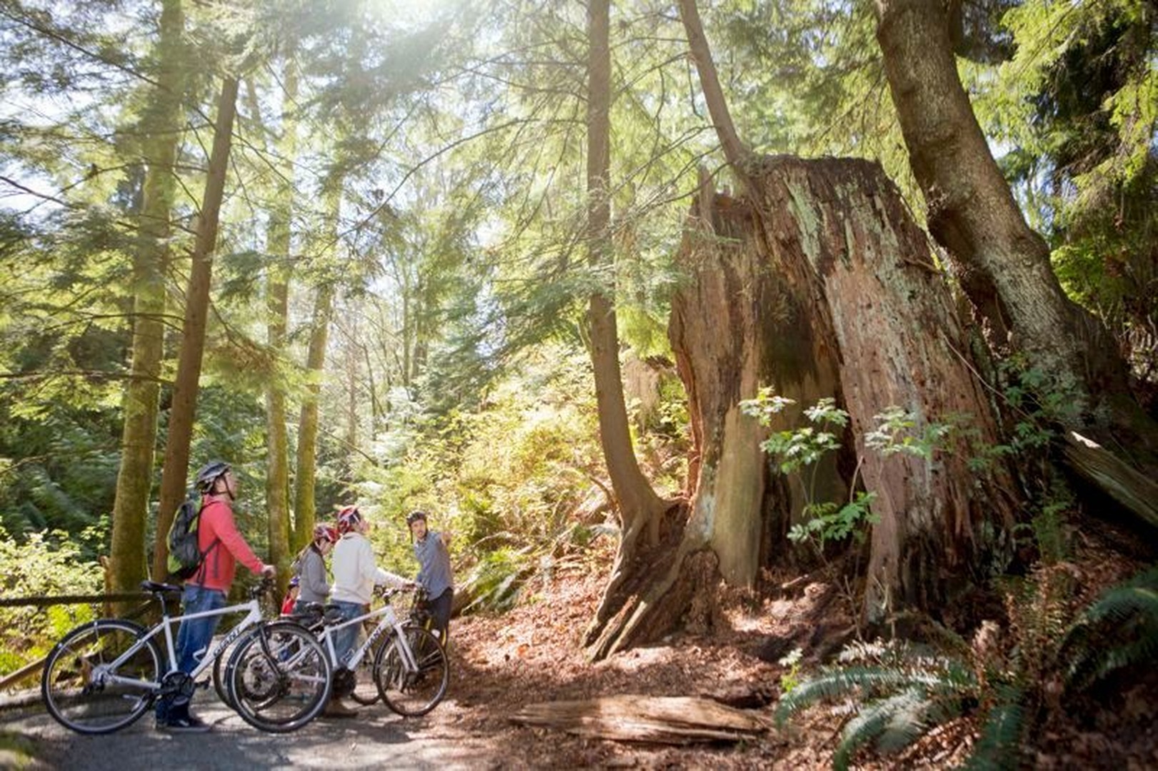 Fietsen Vancouver - British Columbia - Canada - Doets Reizen