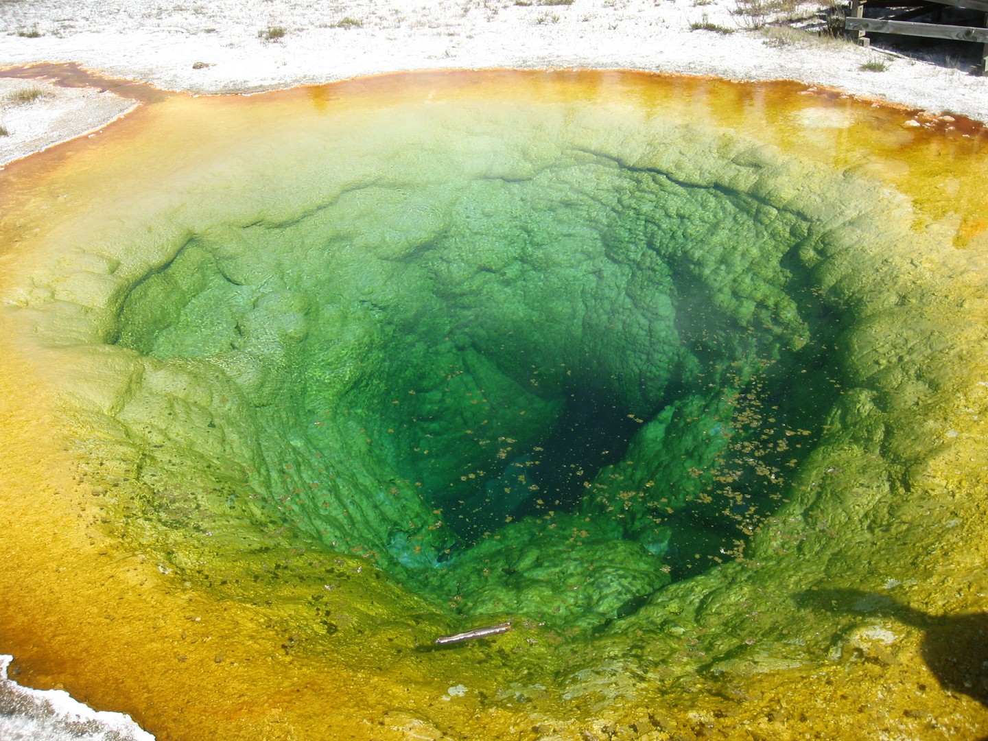 Geisers - Yellowstone National Park - Wyoming - Doets Reizen