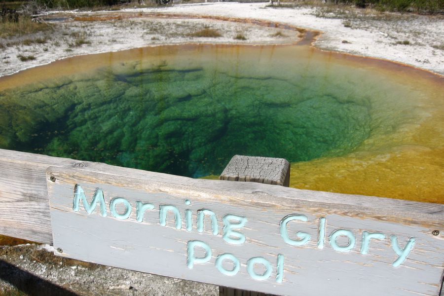 Yellowstone NP in Wyoming