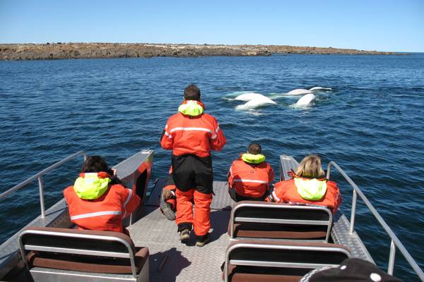 Churchill - Manitoba - Canada - Doets Reizen