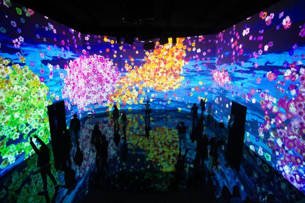 Artechouse - Washington D.C. - Doets Reizen