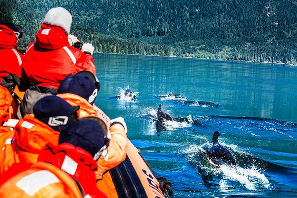 Wildlife Campbell River - Vancouver Island - British Columbia - Canada - Doets Reizen