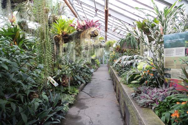 Botanische tuinen - Montreal - Quebec - Canada - Doets Reizen